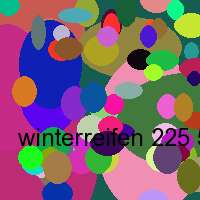 winterreifen 225 50 r17